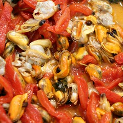 Orechiette mit Meeresgekröse 5_2009 06 27_1120