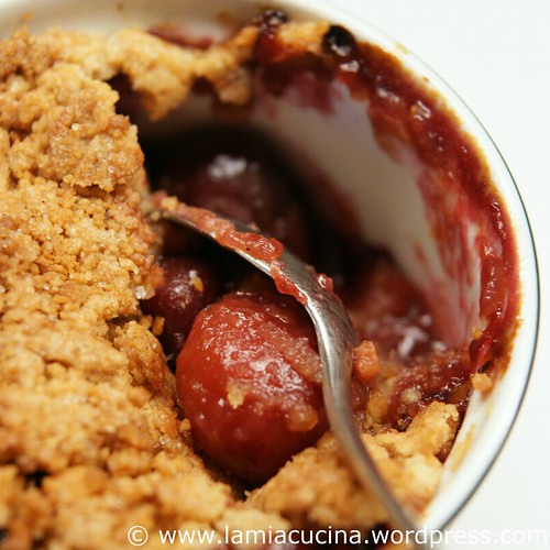 Kirschencrumble 2_2010 07 12_8014