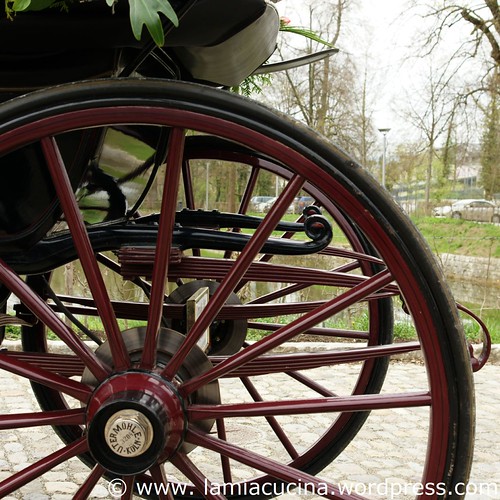 40_Jahre 3_2010 04 08_6308