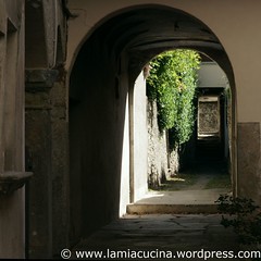 Valchiavenna 10_2010 09 09_9512