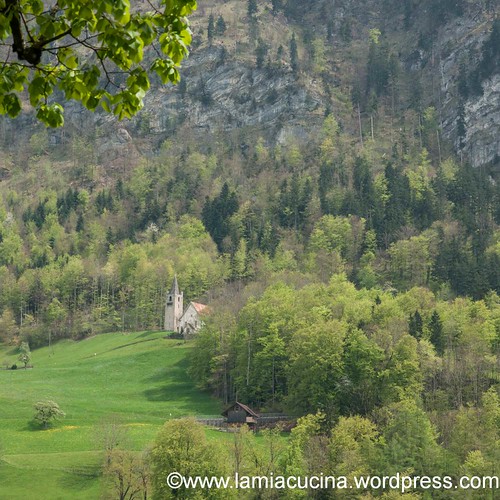 CH-6066 St. Niklausen 2013 05 07_0215