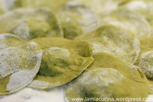 Ravioli all'italiana 2_2011 06 19_4372