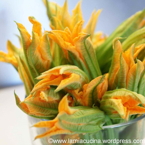 Spaghetti ai fiori di zucca 1_2012 08 22_6898