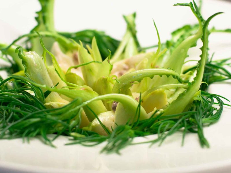Insalata di Puntarelle