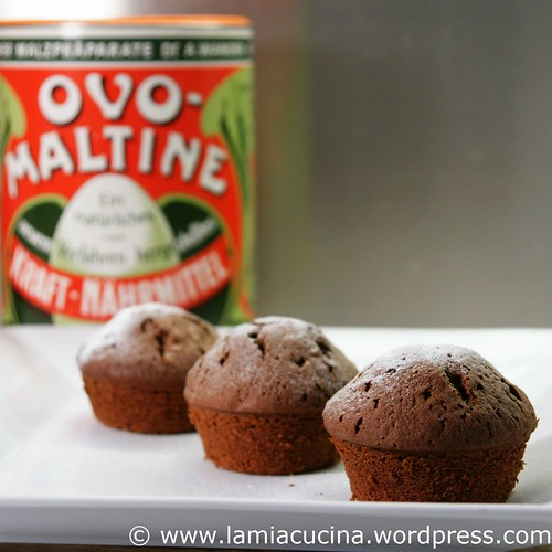 Ovo-Muffins 0_2010 05 02_6655