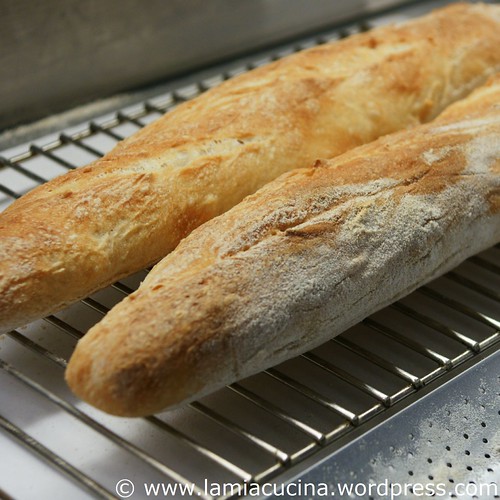 Baguette 0_2010 04 02_6180