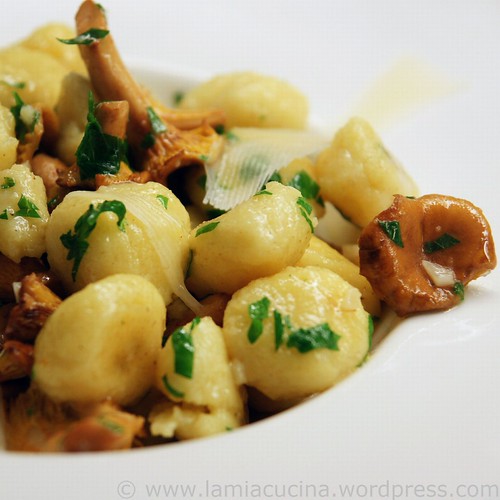 Parmesan-Gnocchi mit Pfifferlingen 0_2010 08 08_8744