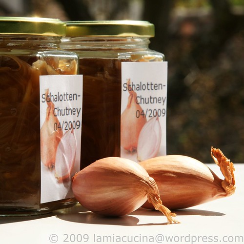Schalotten-Chutney 0_2009 04 18_9671
