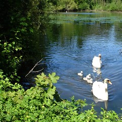 4058Bois4_2008_2289