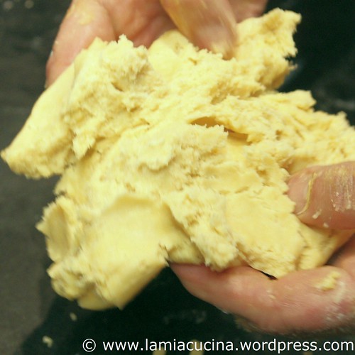 Pastetenteig 0_2009 11 07_3515
