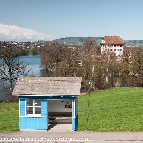 CH-6216- Mauensee 20160411-5