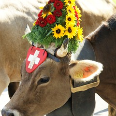 CH-8750 Glarus 1_2009 09 30_2852