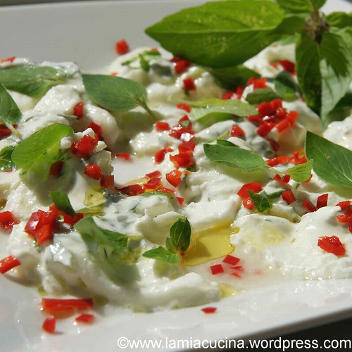 Marinierter Mozzarella 0_2012 07 16_6189