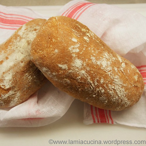 Ciabatta E. Kayser 0_2011 11 20_1164