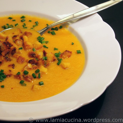 Karottensuppe 0_2009 07 11_1357