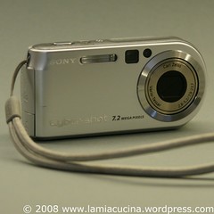Sony P-200
