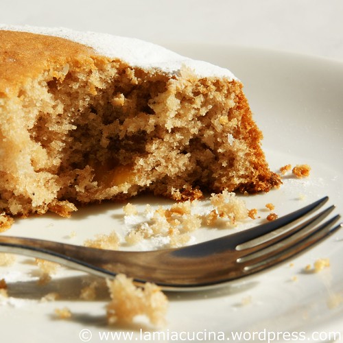 Marronikuchen 1_2009 10 03_2921