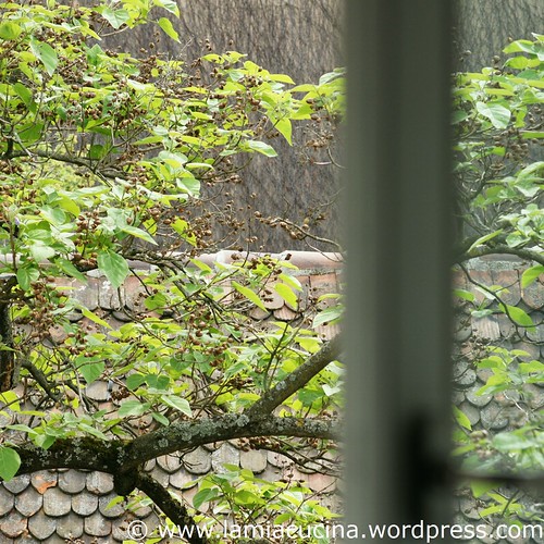 Küchenausblick 0_2011 04 29_3432