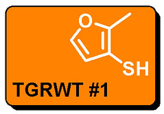 tgrwt-1
