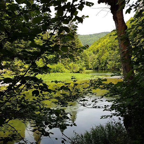 Doubs(15) 20180526_123212