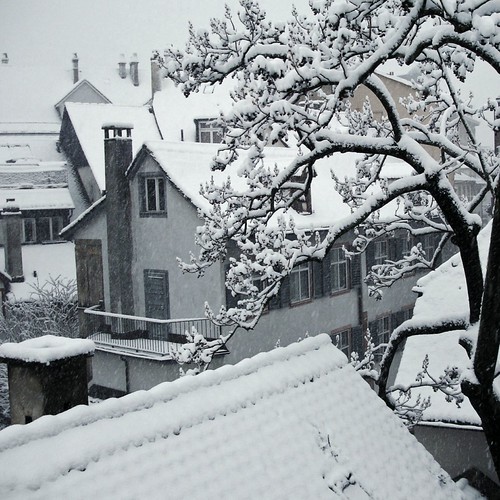Aus dem Küchenfenster Winter DSC0135_e