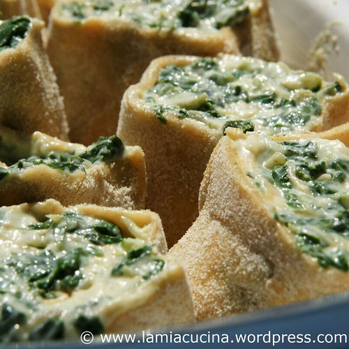 Rotoli alle bietole 3_2010 06 27_7771