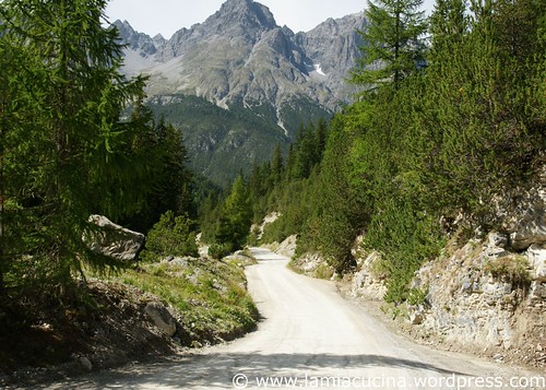 S-Charl 0_2009 09 07_2534
