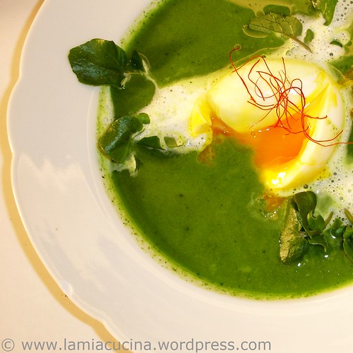Brunnenkressesuppe0_redc2008_1182