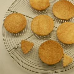 Platte Blätterteigrondellen
