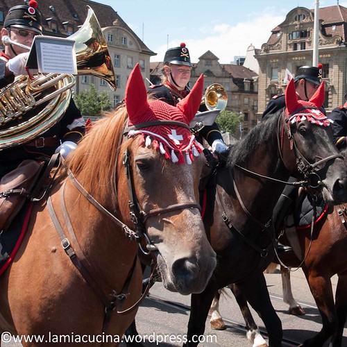 Basel Tattoo 2015 (2015 07 25_8349)