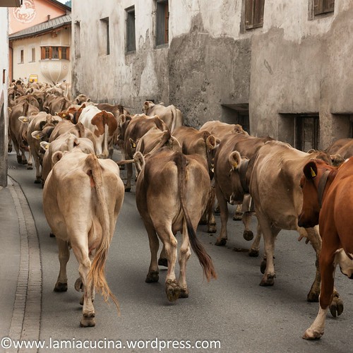 Ferien 2013 2013 09 14_1682