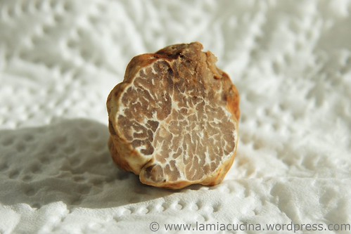  Tartufo Marzuolo 1_2011 02 05_2155