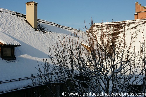 Winter 5_2010 12 02_0983