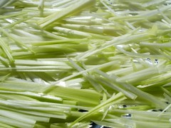 Limande Sole Gemüsebett