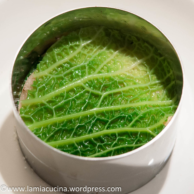 Steinpilz-Randen-Wirsing-Lasagne 2013 12 16_2619