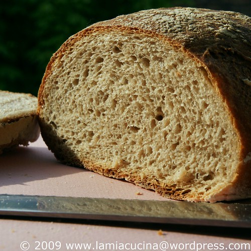Basler Brot 1_2009 04 15_9531