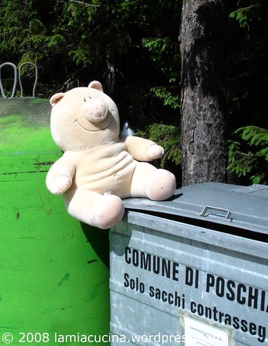 Fundsachen(3)_2008 06 27_3118