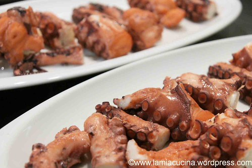 Pulpo 0_2012 02 04_2704