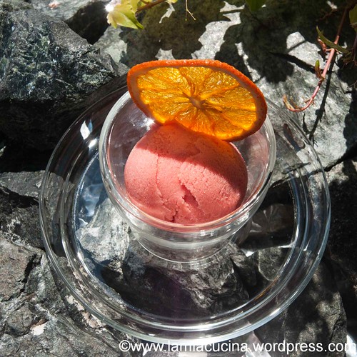 Orangensorbet 2013 08 14_1412