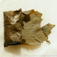 Dolmades 2_2010 04 18_6424