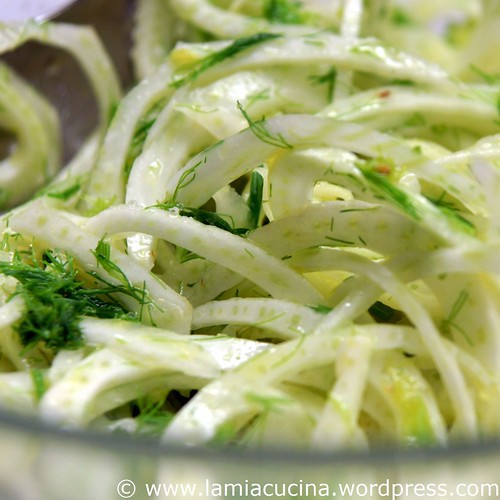 Fenchelsalat 0_2009 07 27_1717