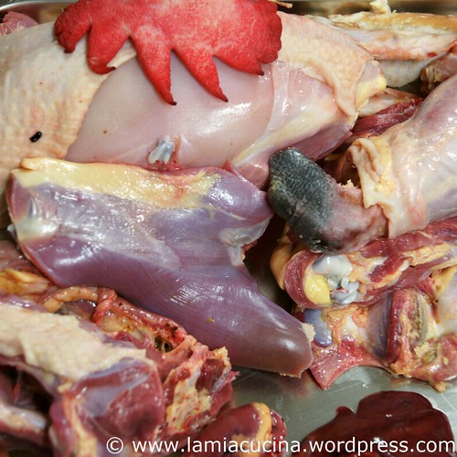 Le Coq 1_2011 02 26_2504