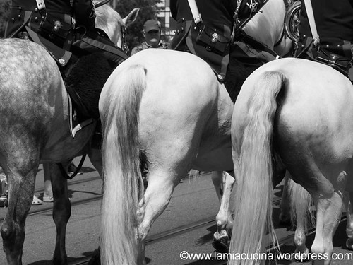 Basel Tattoo 2013 07 27_1203