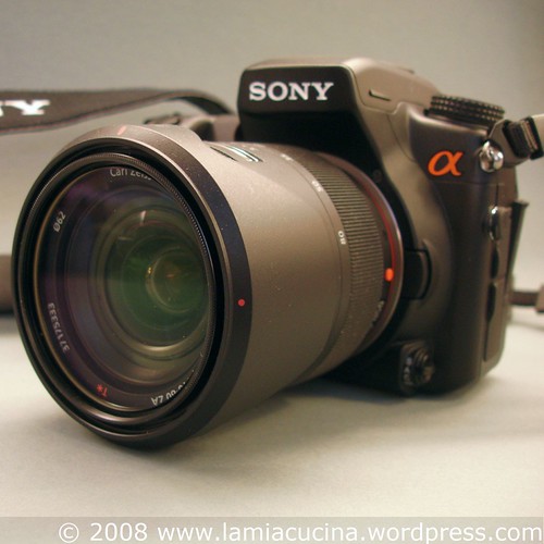 Sony A-700 mit Vario-Sonar DT 16-80mm