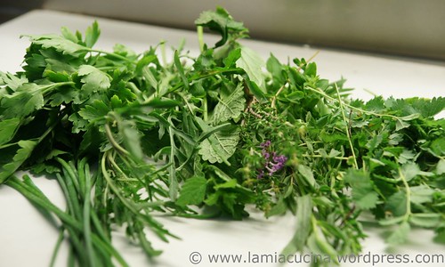 Salsa verde L. 1_2010 07 11_7977