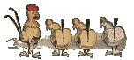 Hühner der witwe Bolte