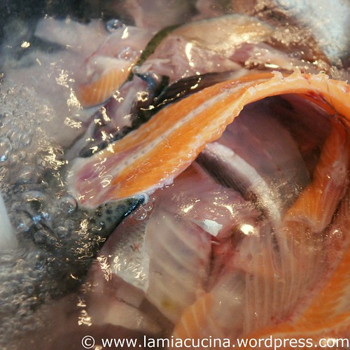 Fischfond 0_2010 03 13_5726ed