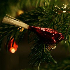 Weihnacht08 8_2008 12 21_7283