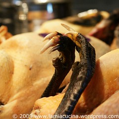 Perlhuhn in Rücklage