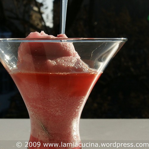 Grapefruit-Karkade-Sorbet 00_2009 01 12_7657